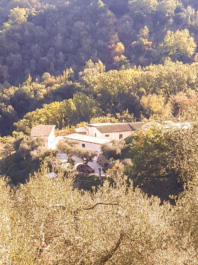 La Dimora Degli Angeli Bed and Breakfast Περούτζια Εξωτερικό φωτογραφία